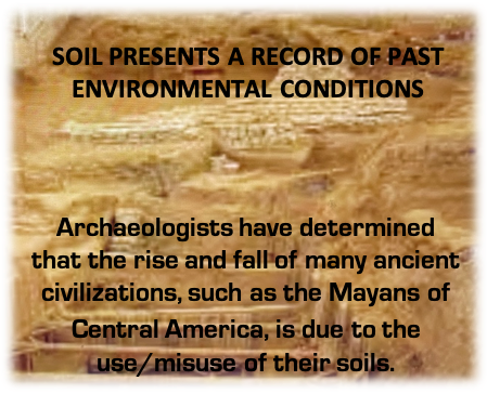 Past environmental conditions