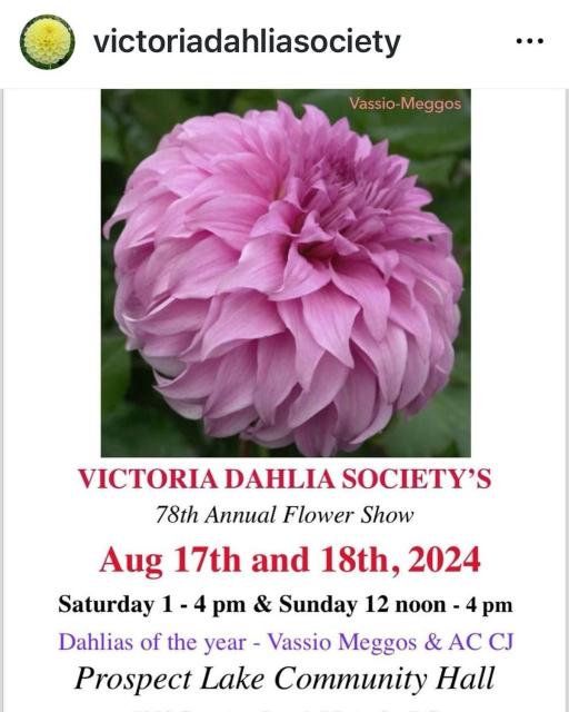 Dahlia Show poster