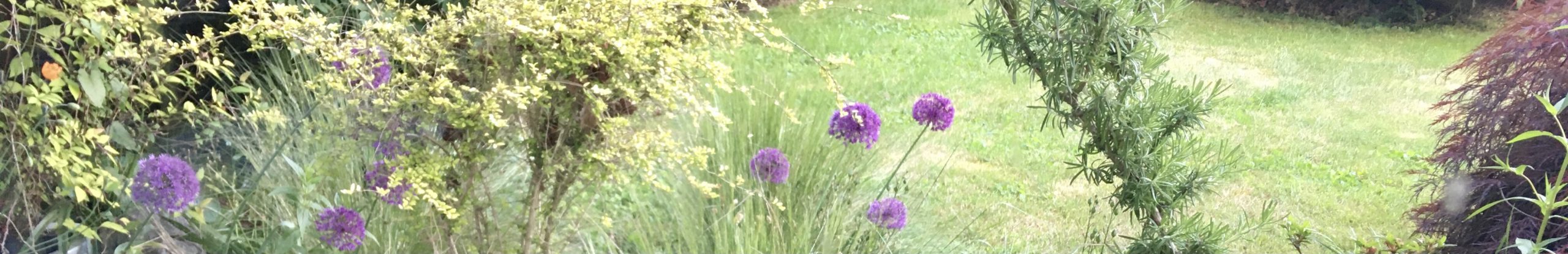 A May Full of Perfect Flowers and Pollen Cones