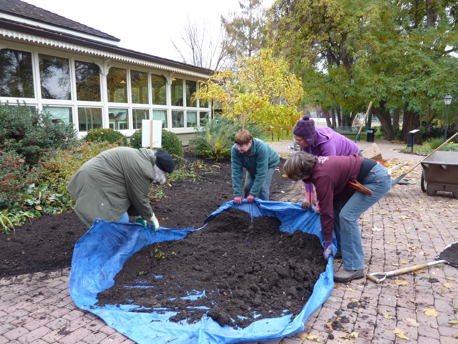 2015 Tulip planting project Guisachan