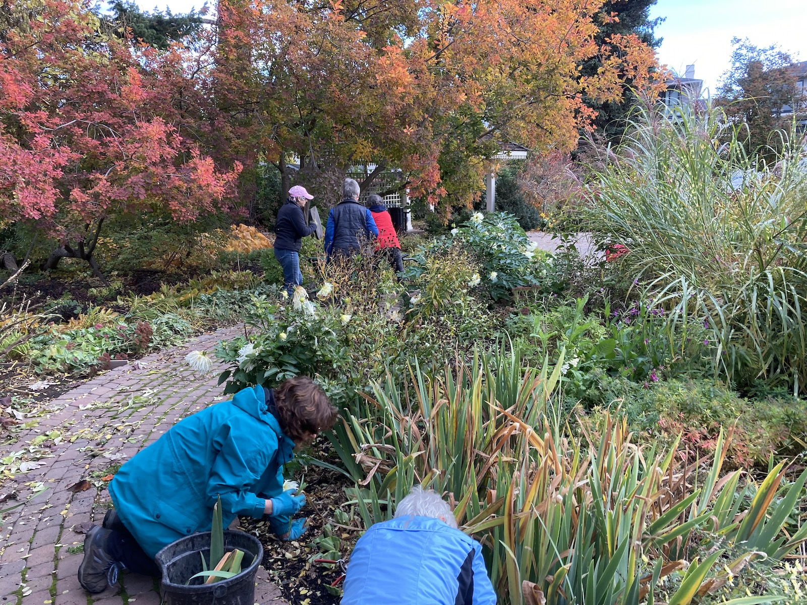 2021 Fall clean up Guisachan Garden