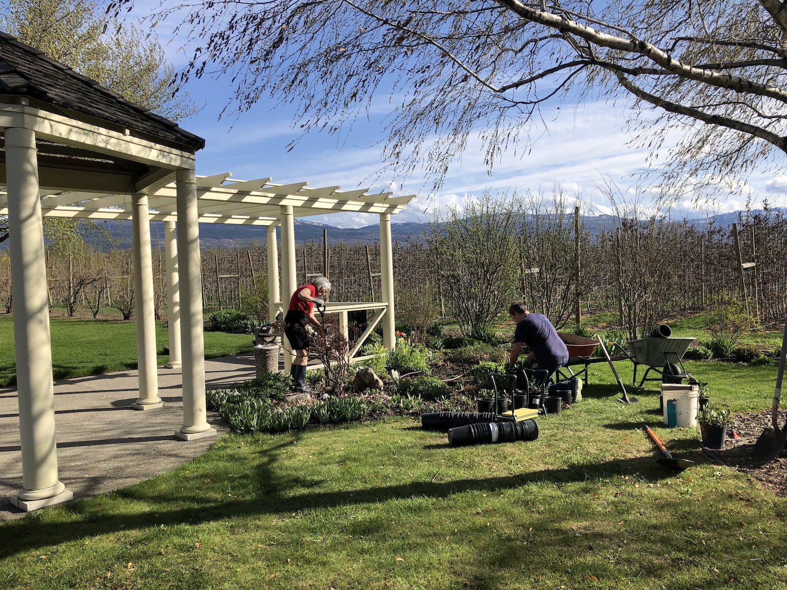 Benvoulin Heritage Park Garden Work Crew - Garden Bed Renovation by OMG