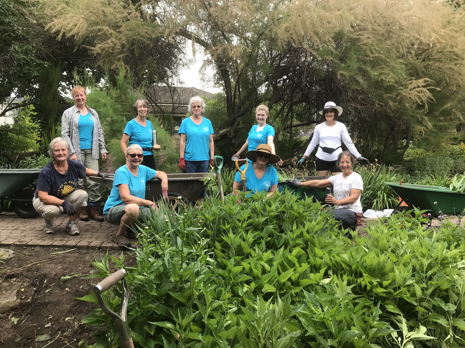 June 2020 Guisachan Garden crew