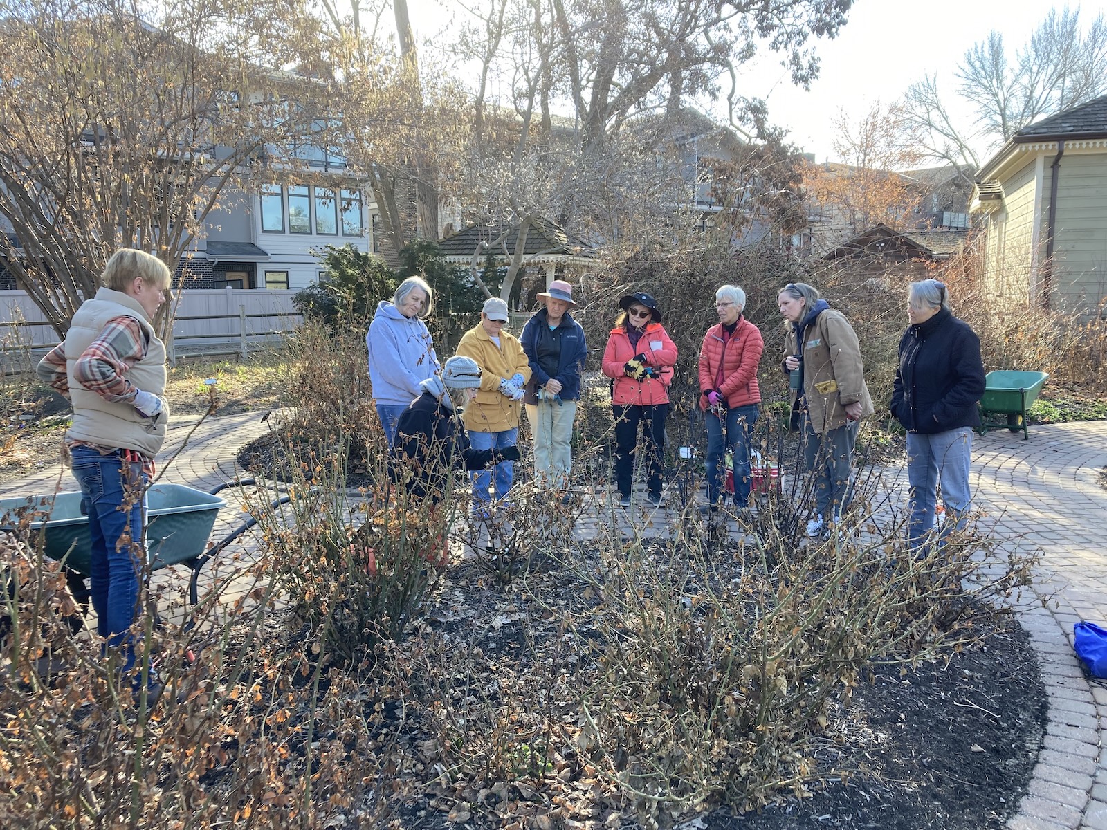 March 2023 Annual Rose Pruning Guisachan Garden