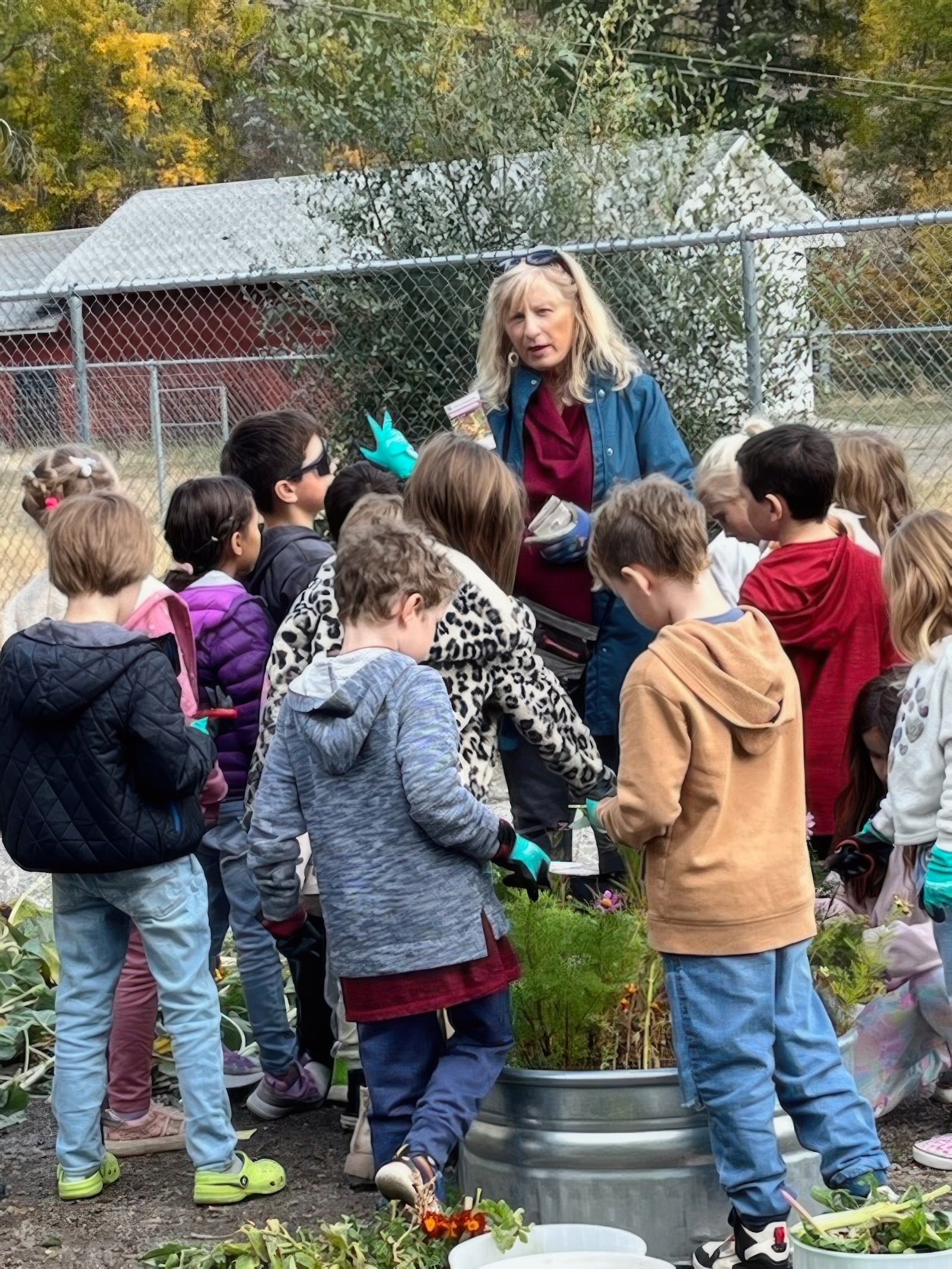 peachland-intergenerational-school-garden-okanagan-master-gardeners