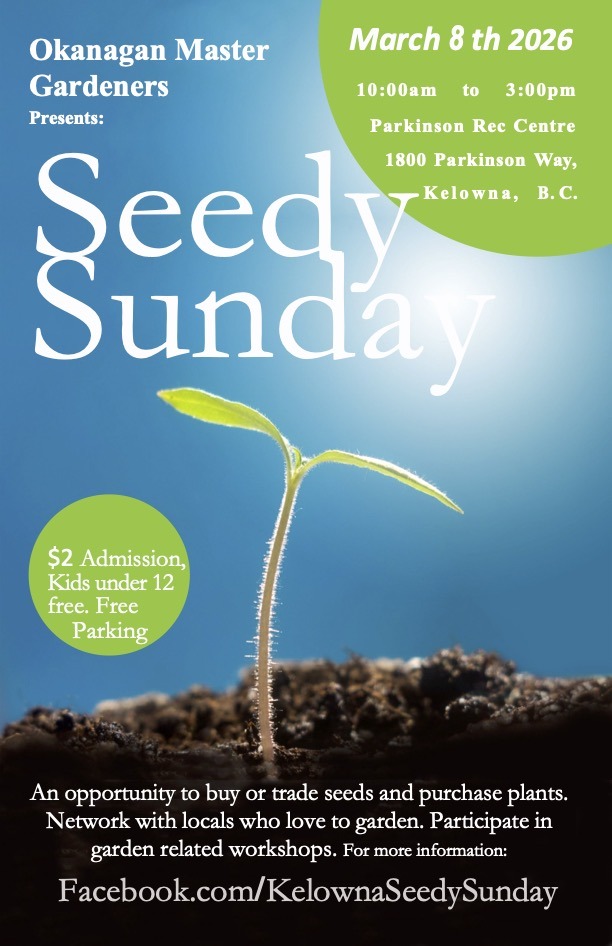 Seedy Sunday poster 2026 (1)