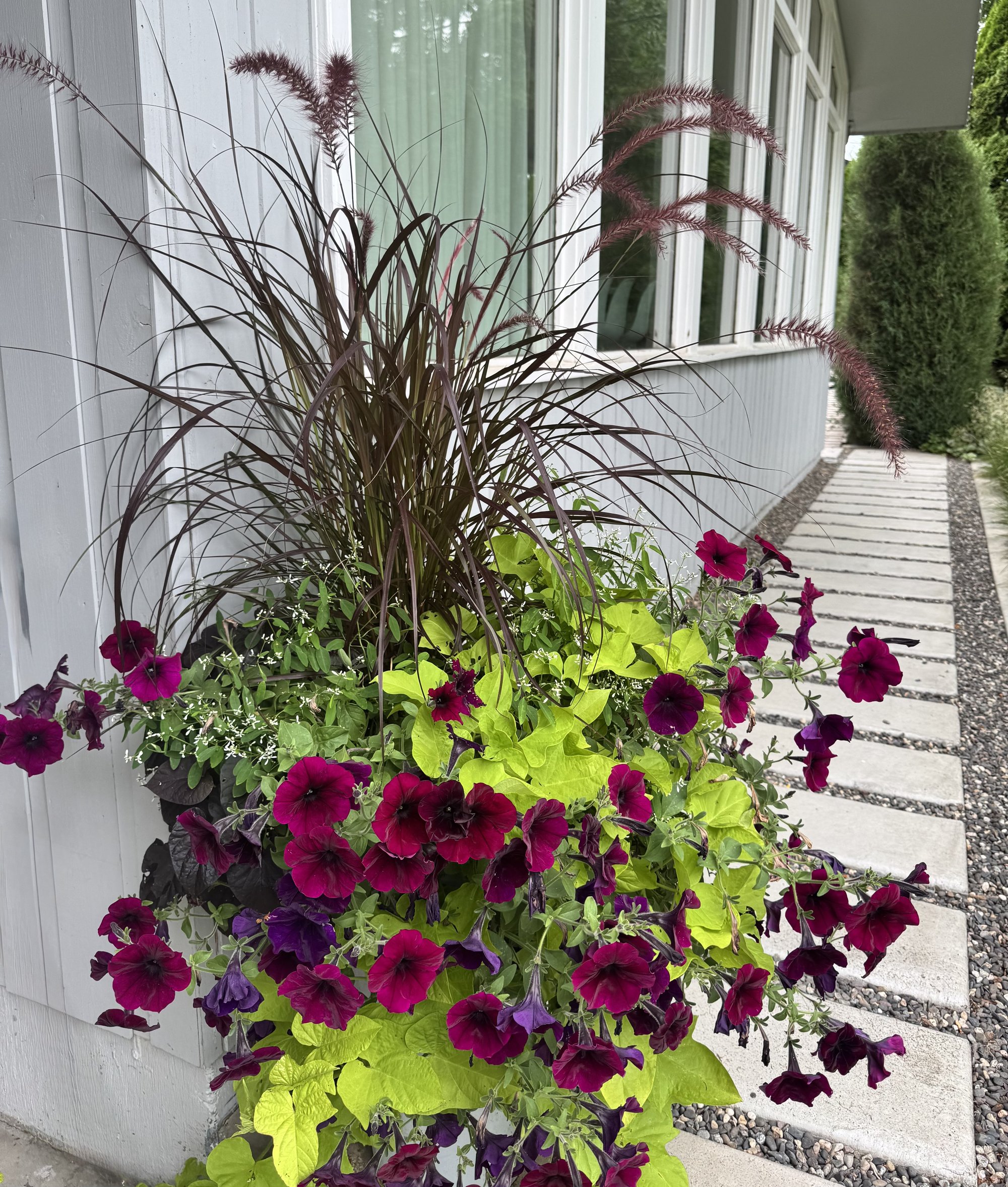 Container Gardening Workshop at Kelowna Library (March 2026)